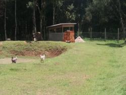 Chácara para Venda em Agudos do Sul - 3