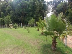 Chácara para Venda em Agudos do Sul - 4