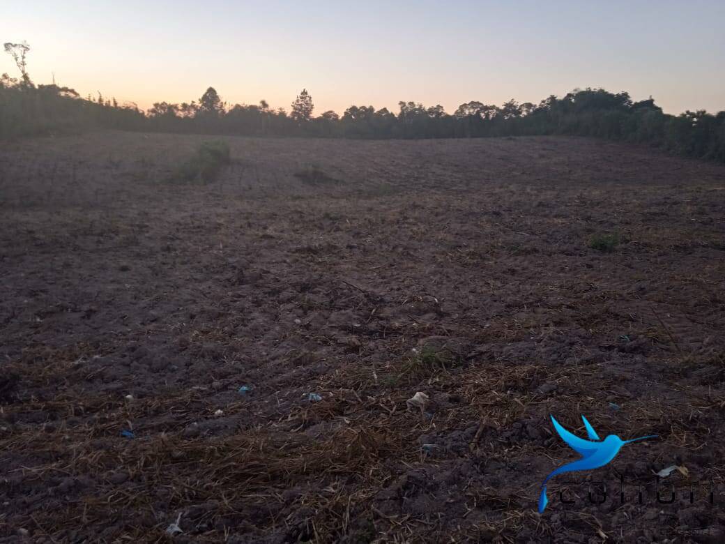 Terreno, 3 hectares - Foto 1
