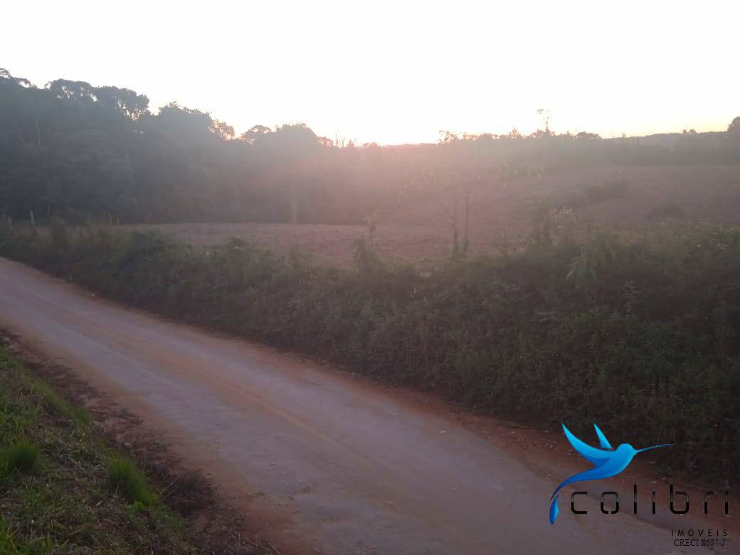 Terreno, 3 hectares - Foto 5