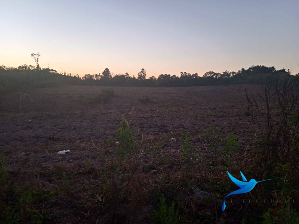 Terreno, 3 hectares - Foto 4