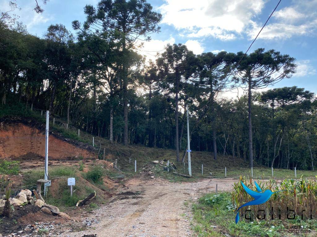 Terreno, 5810 m² - Foto 4