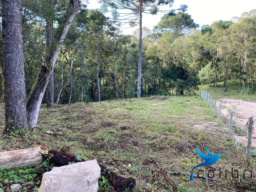 Terreno, 5810 m² - Foto 1