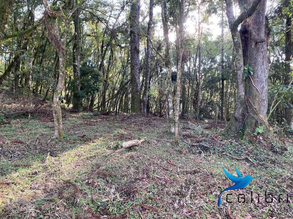 Terreno, 5810 m² - Foto 3