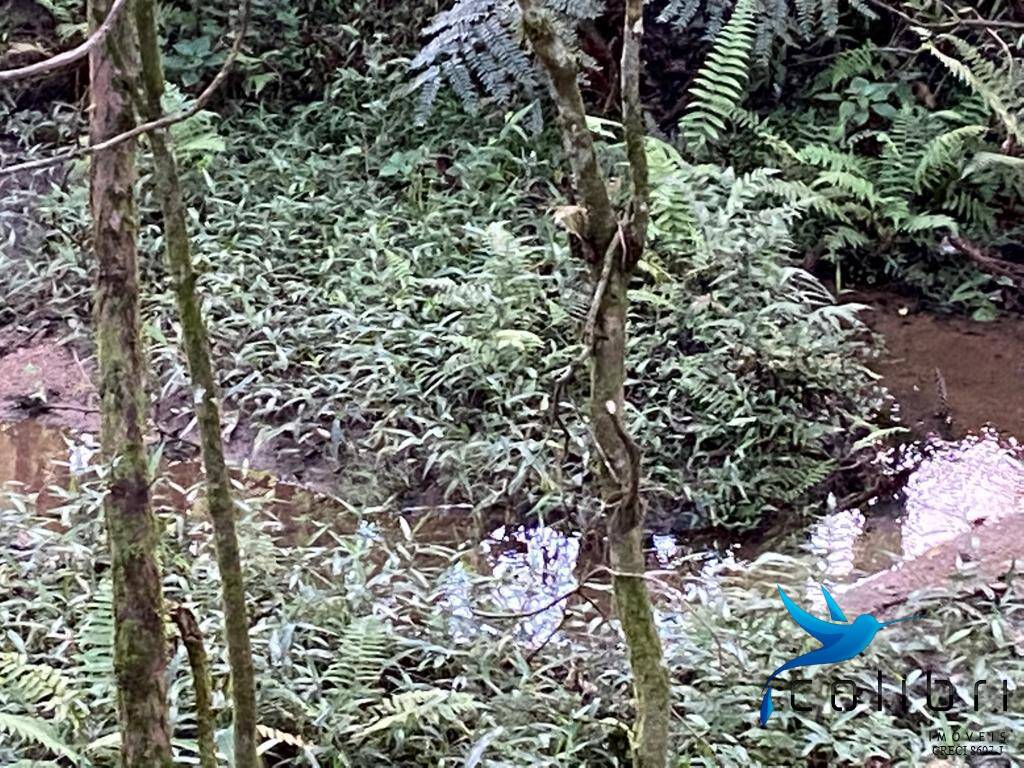 Terreno, 5810 m² - Foto 6