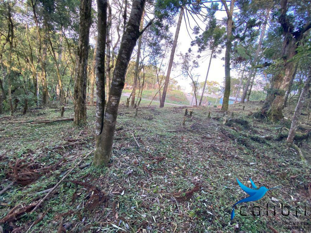 Terreno, 5810 m² - Foto 9