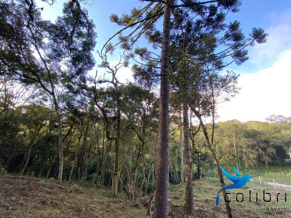 Terreno, 5810 m² - Foto 11