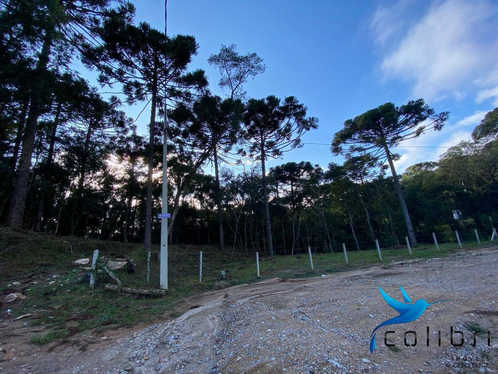 Terreno, 5810 m² - Foto 10