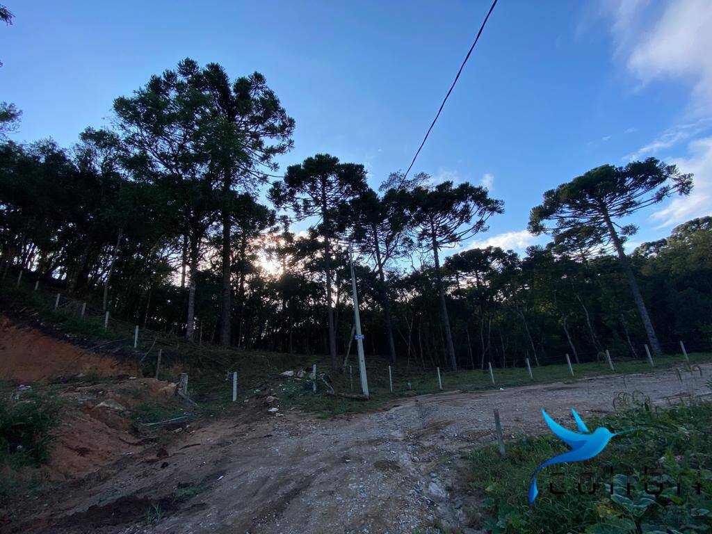 Terreno, 5810 m² - Foto 7