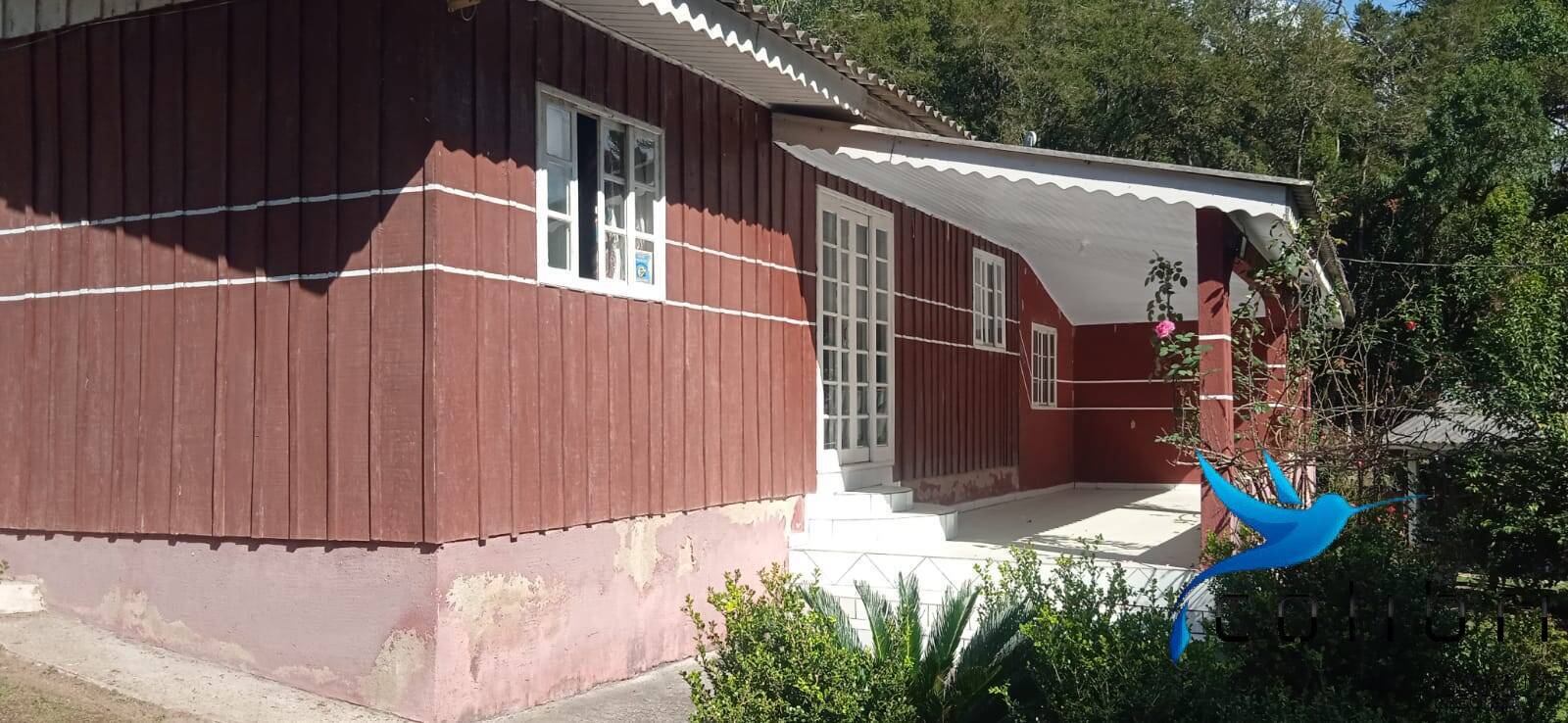 Sítio, 4 quartos, 4840 m² - Foto 4