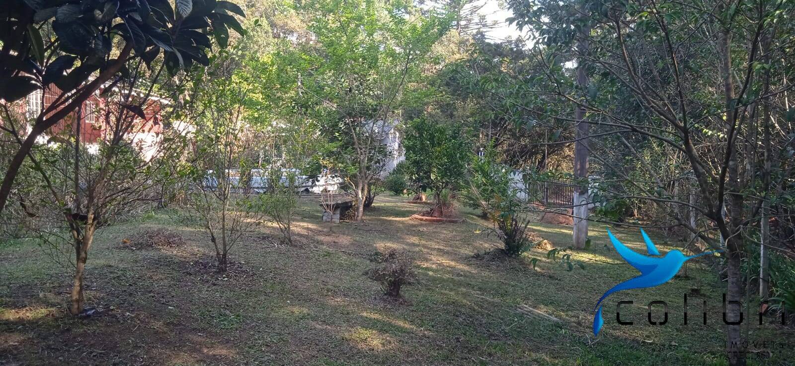 Sítio, 4 quartos, 4840 m² - Foto 7