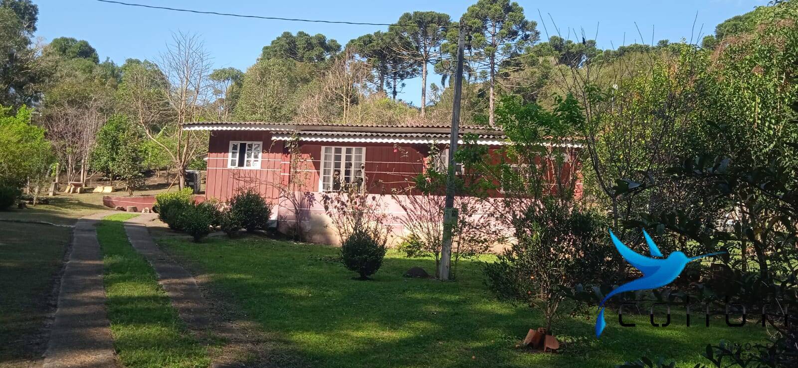 Sítio, 4 quartos, 4840 m² - Foto 2