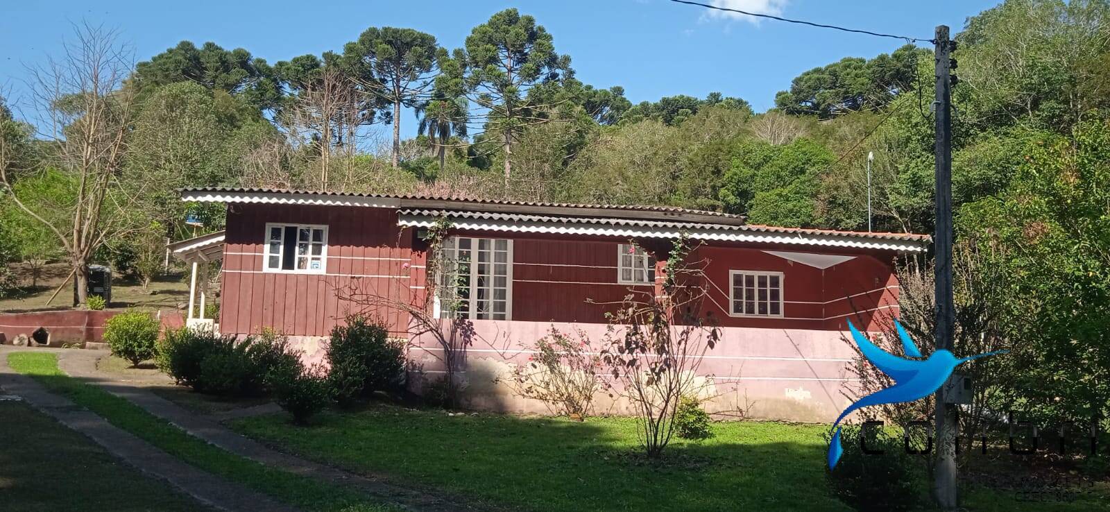 Sítio, 4 quartos, 4840 m² - Foto 5