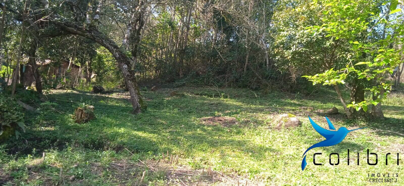Sítio, 4 quartos, 4840 m² - Foto 11