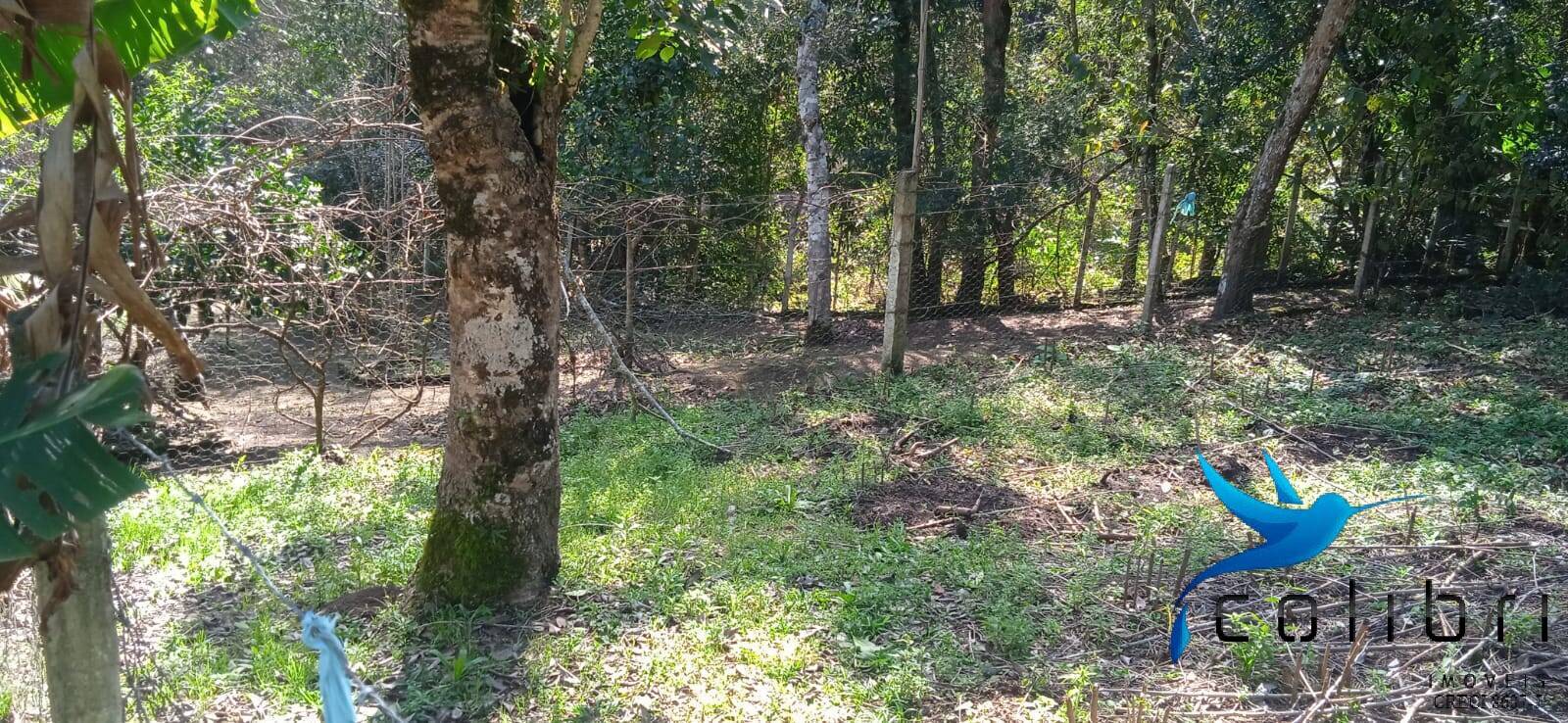 Sítio, 4 quartos, 4840 m² - Foto 12