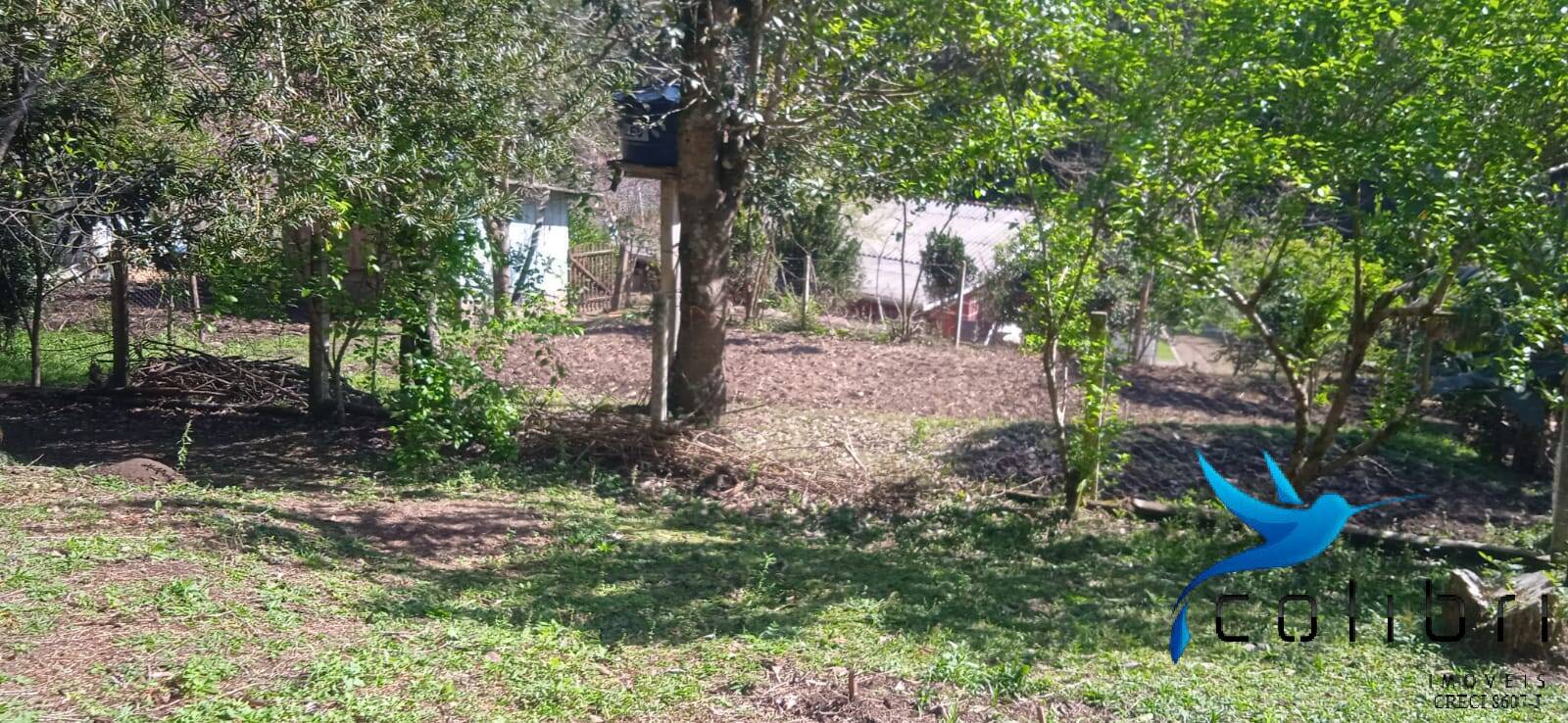 Sítio, 4 quartos, 4840 m² - Foto 16