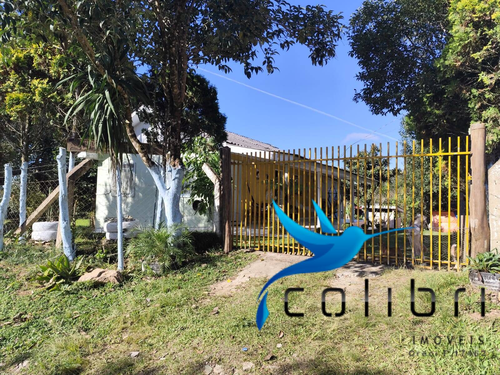 Chácara à venda com 2 quartos, 5000m² - Foto 6