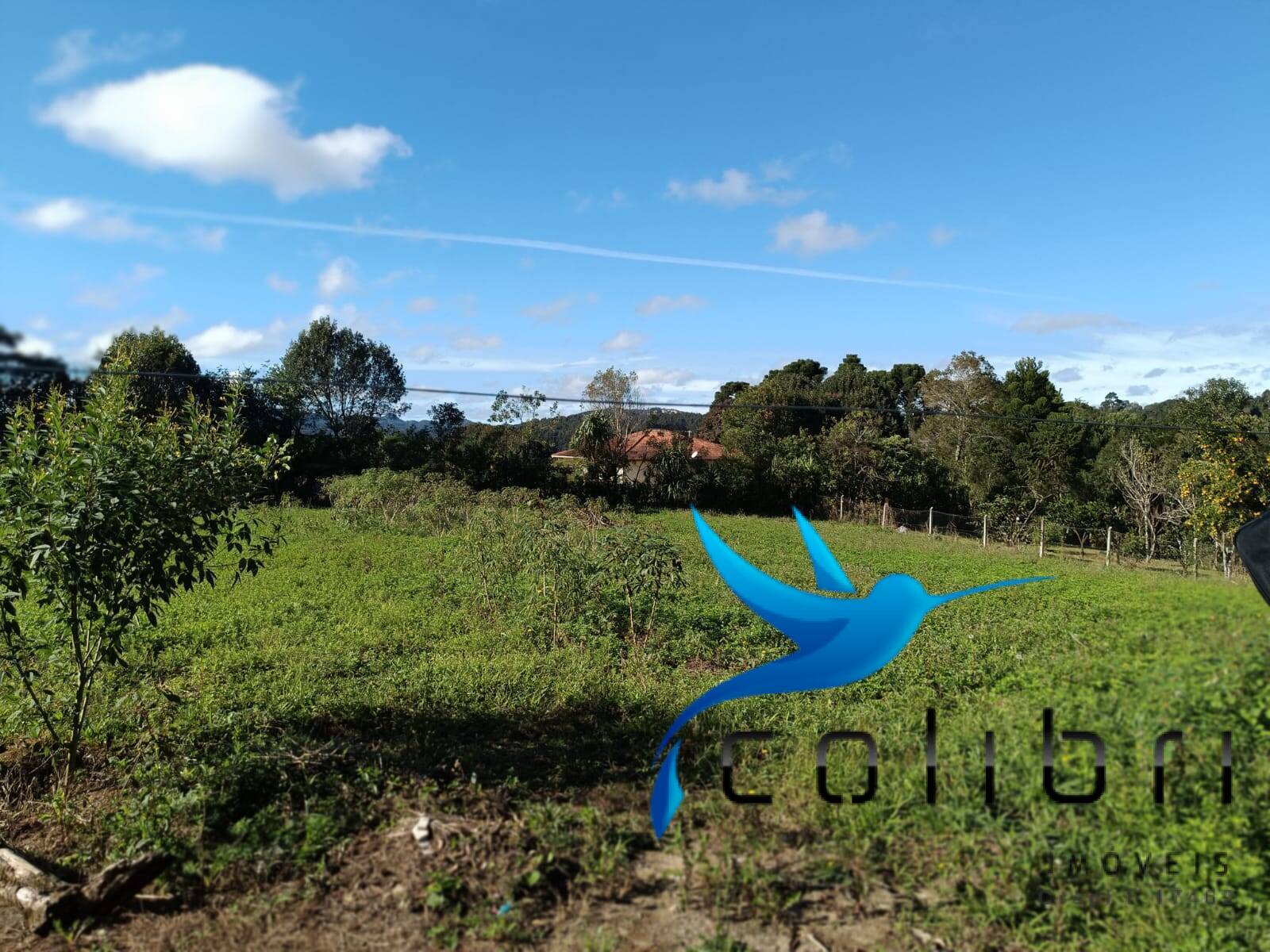 Chácara à venda com 2 quartos, 5000m² - Foto 16