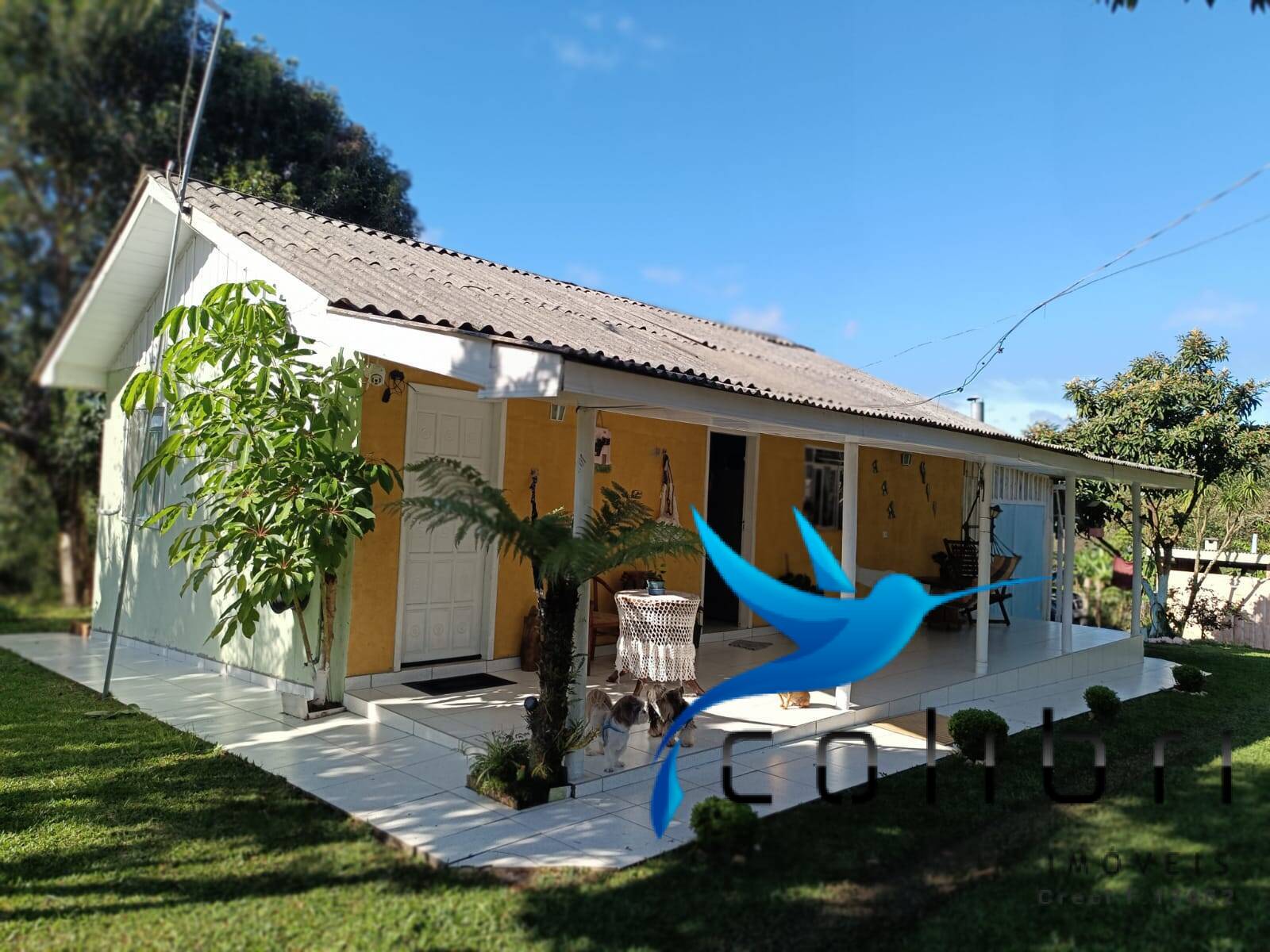 Chácara à venda com 2 quartos, 5000m² - Foto 1