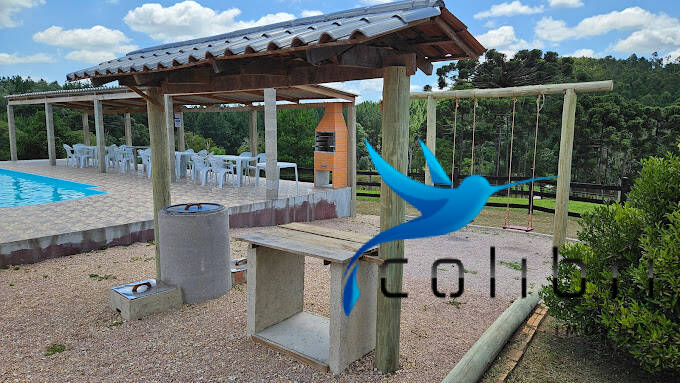 Chácara à venda com 3 quartos, 18000m² - Foto 14