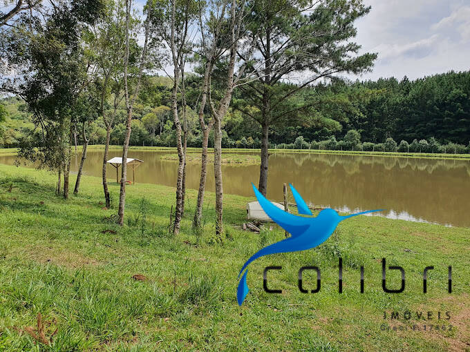 Chácara à venda com 3 quartos, 18000m² - Foto 21