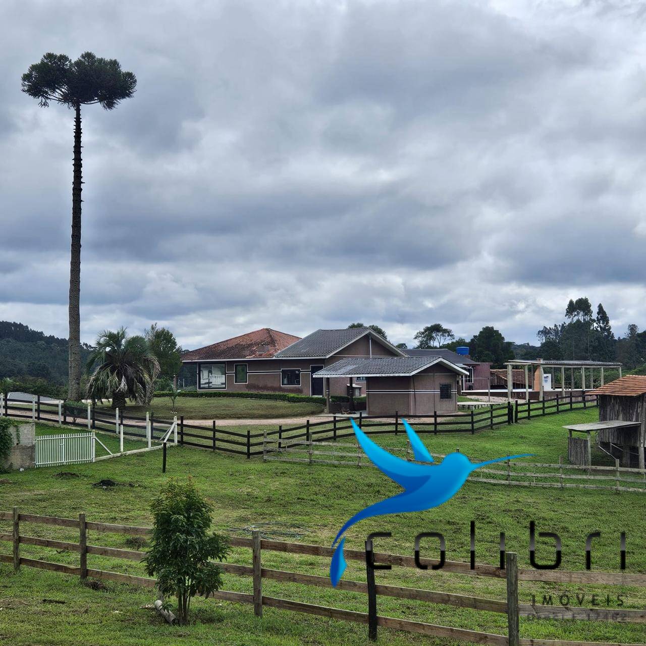 Chácara à venda com 3 quartos, 18000m² - Foto 2