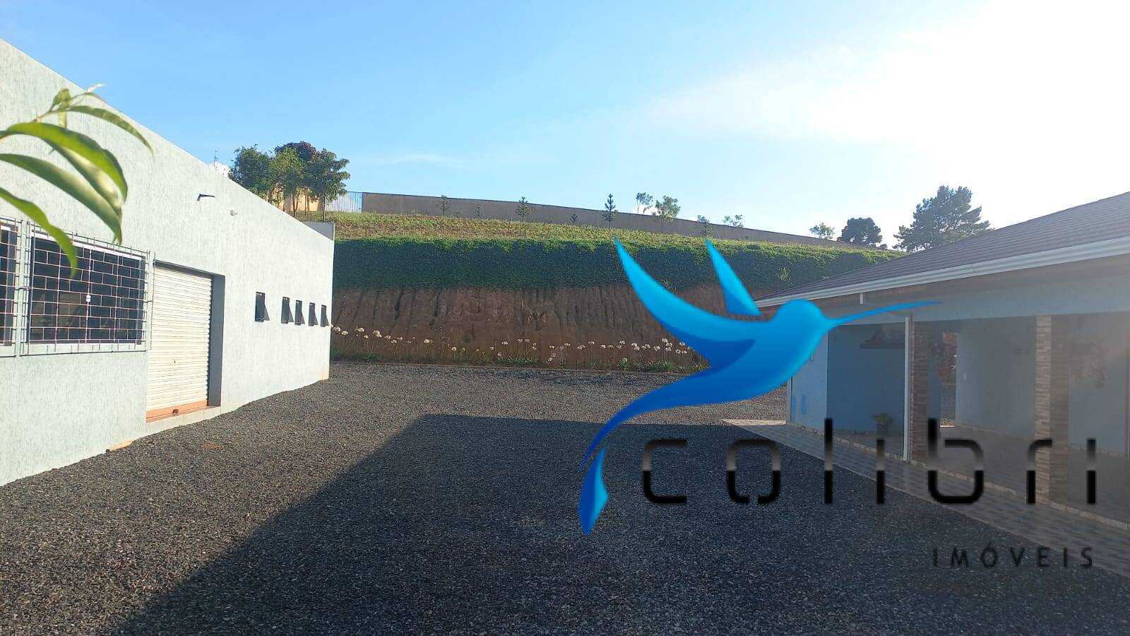Chácara à venda com 3 quartos, 3025m² - Foto 4