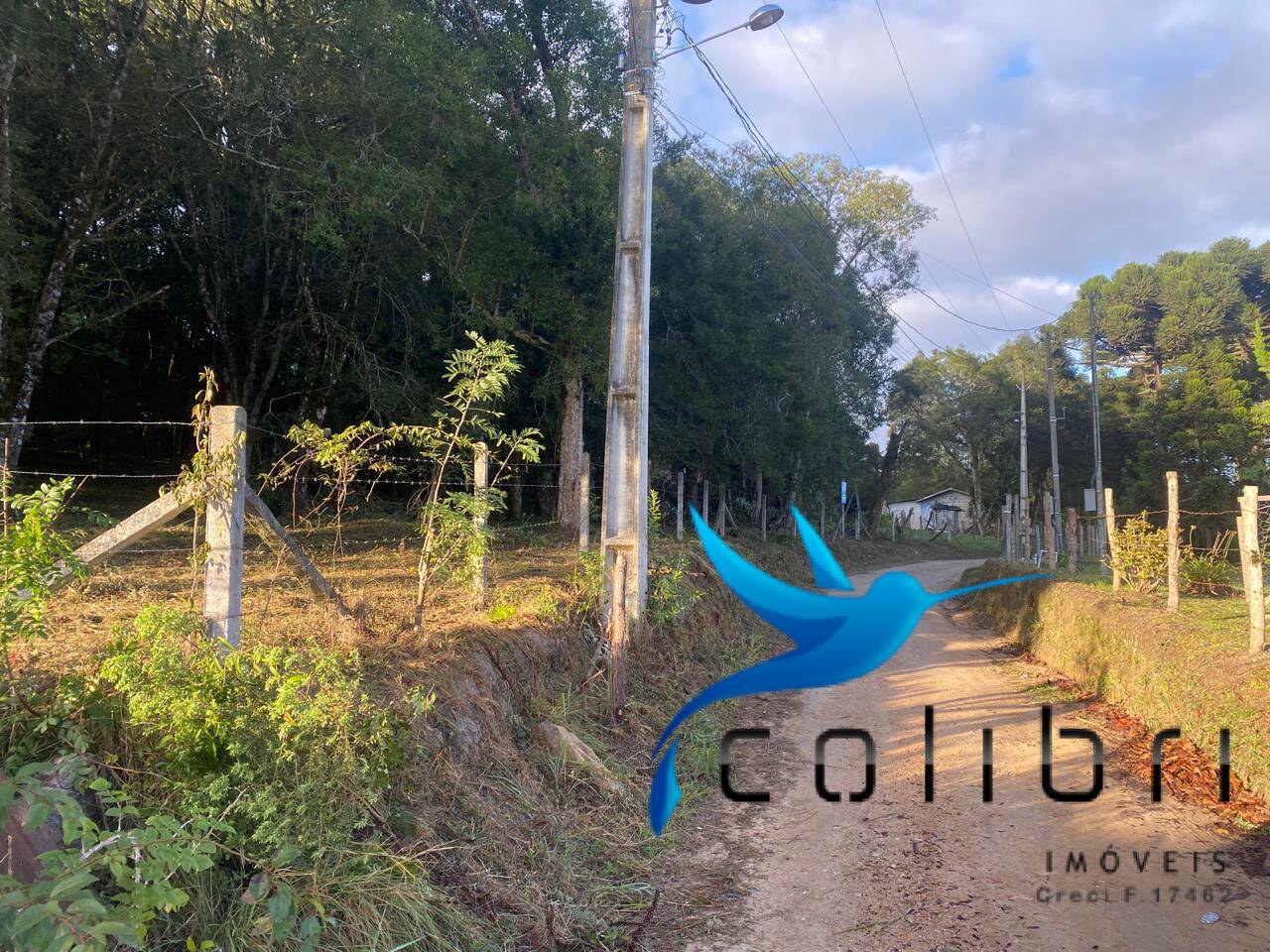 Terreno à venda, 3200m² - Foto 5