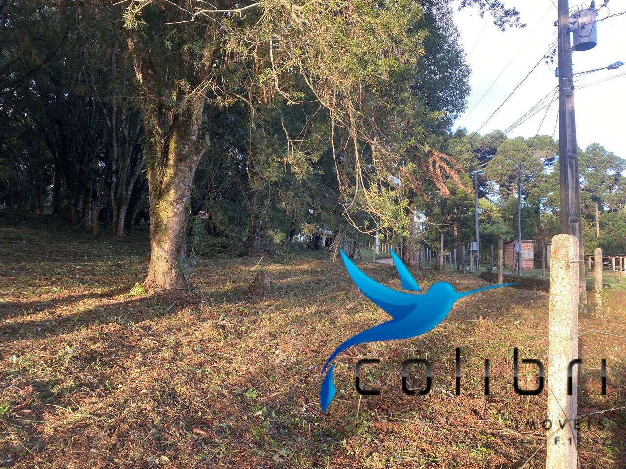 Terreno à venda, 3200m² - Foto 2