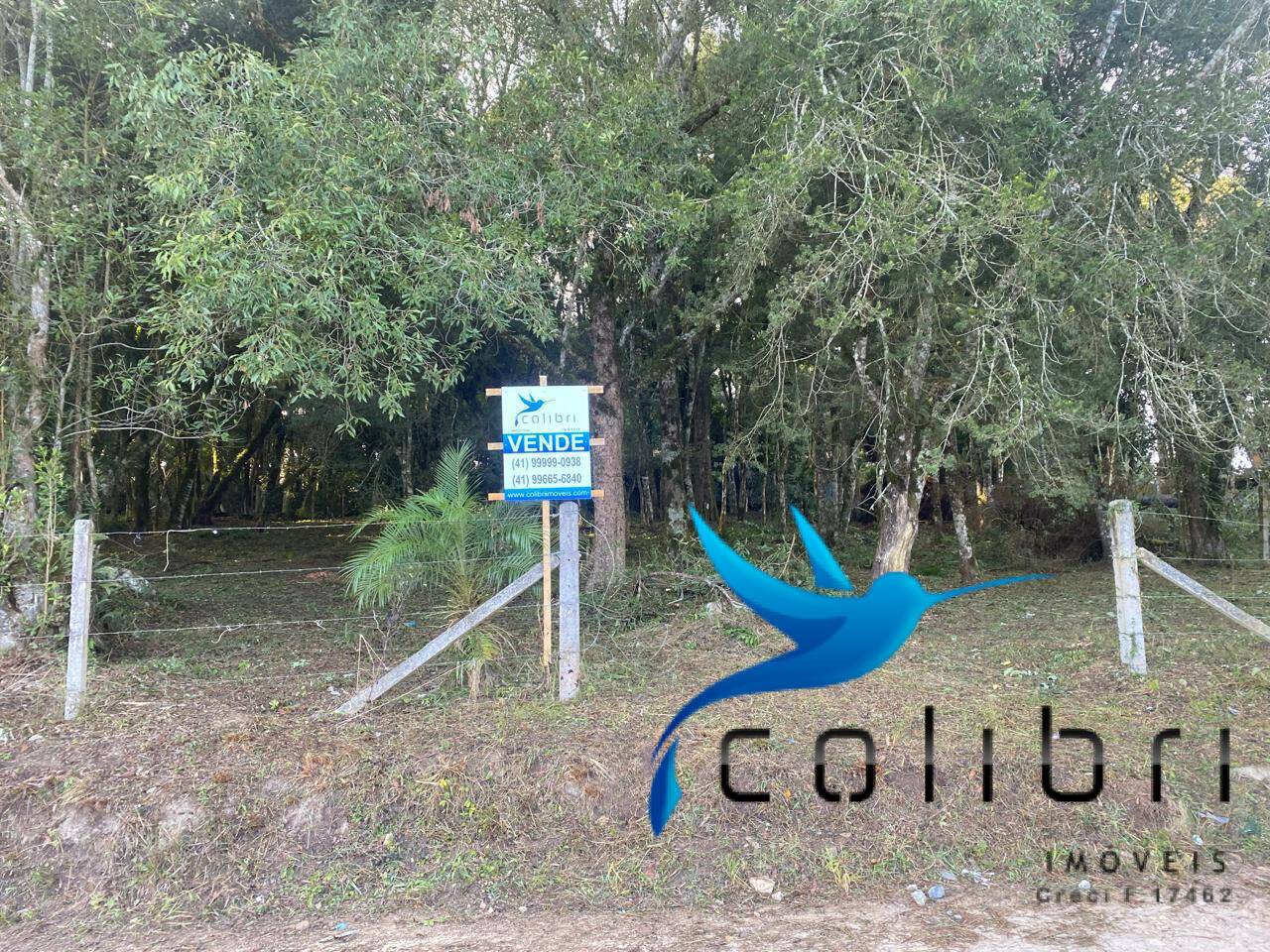 Terreno à venda, 3200m² - Foto 1