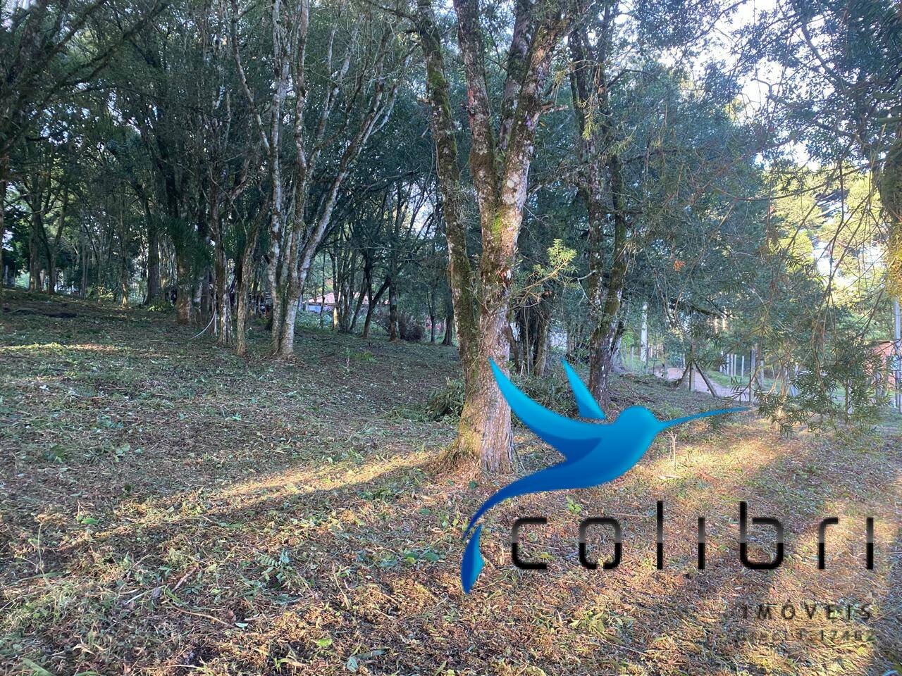 Terreno à venda, 3200m² - Foto 3
