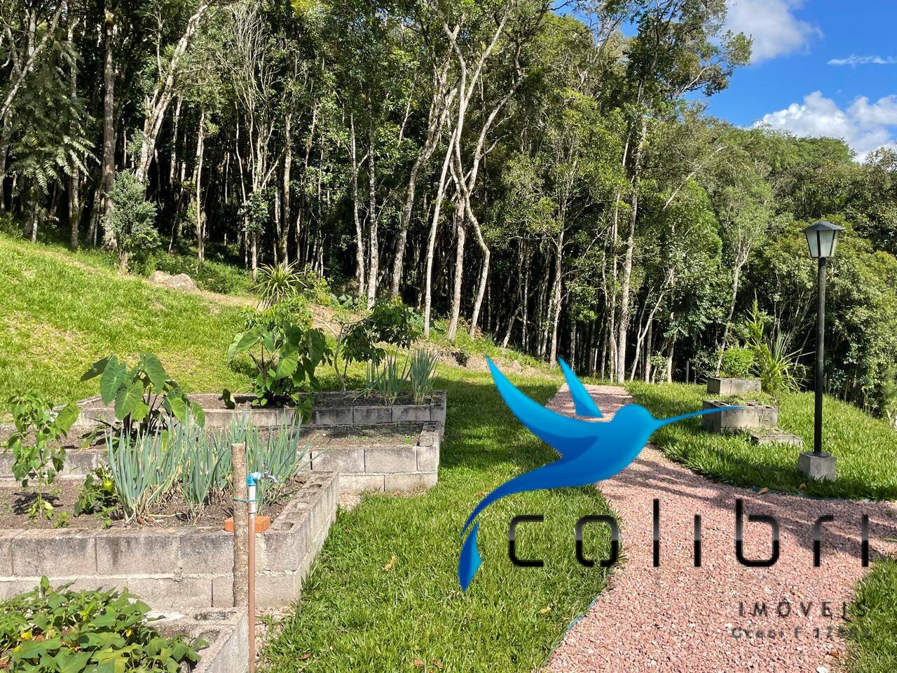 Chácara à venda com 2 quartos, 49098m² - Foto 10