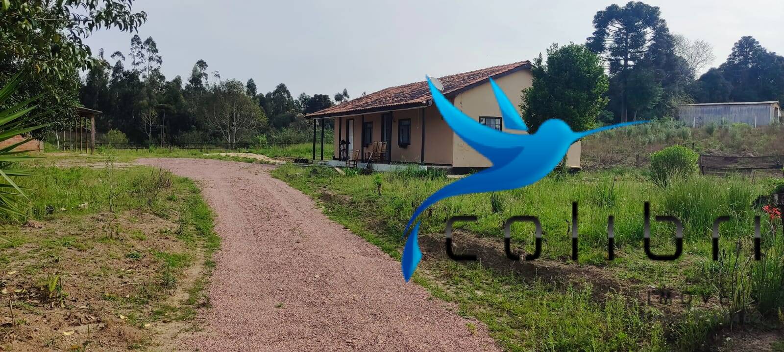 Chácara à venda com 3 quartos, 2425m² - Foto 1