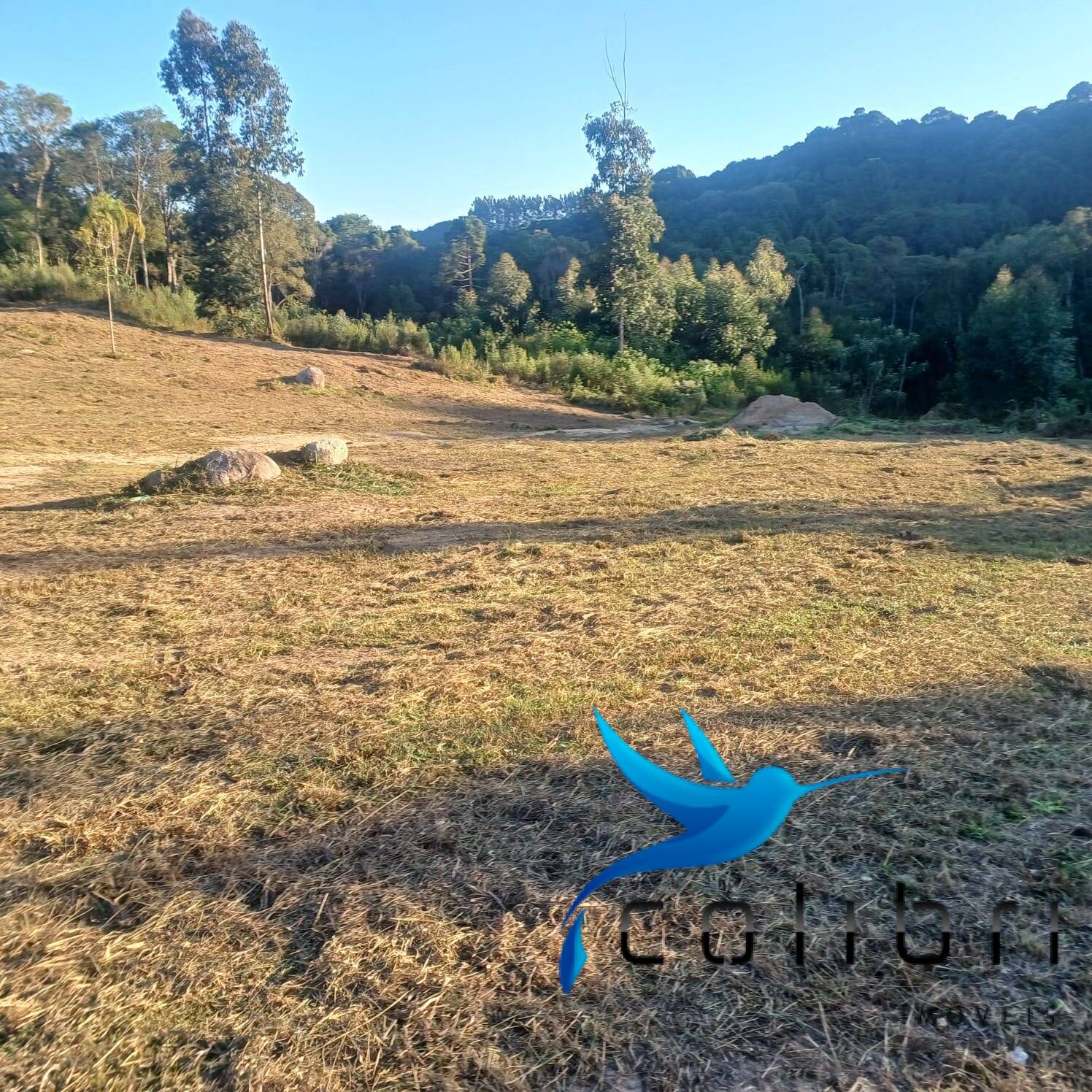 Terreno à venda, 7716m² - Foto 2