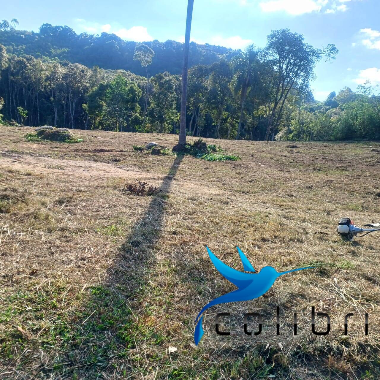 Terreno à venda, 7716m² - Foto 4