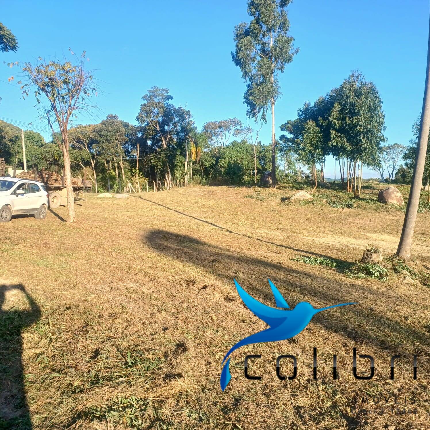 Terreno à venda, 7716m² - Foto 5