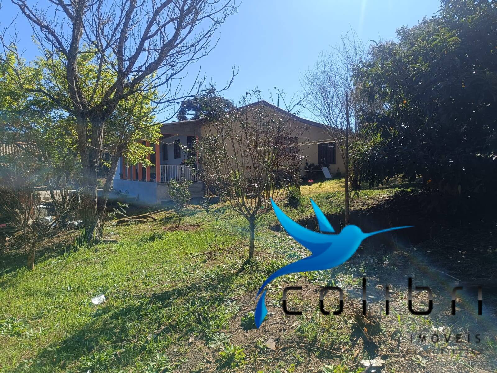 Casa à venda com 3 quartos, 2687m² - Foto 5