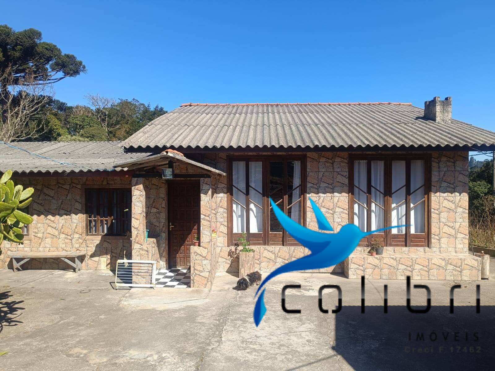 Casa à venda com 3 quartos, 2687m² - Foto 8
