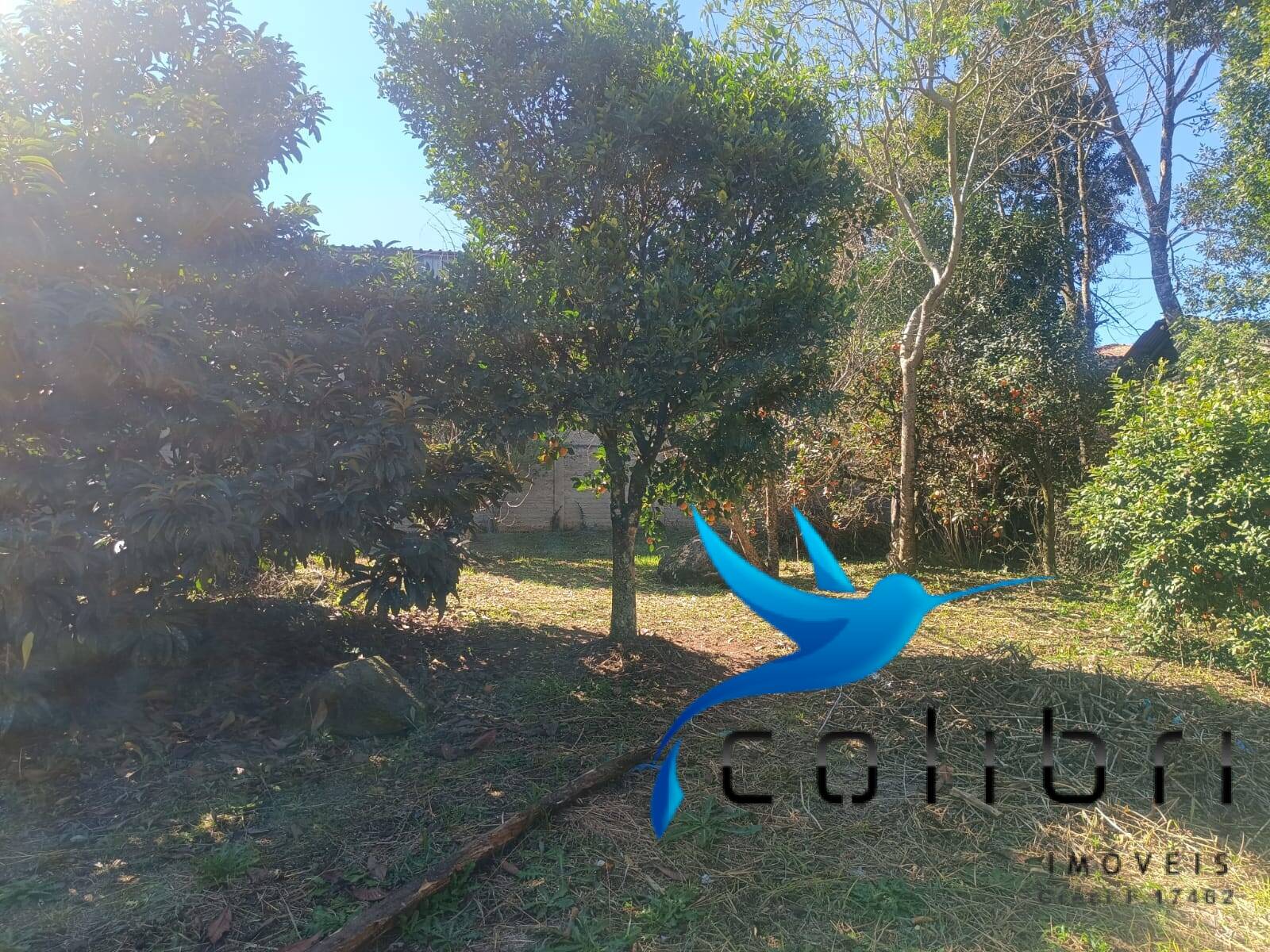 Casa à venda com 3 quartos, 2687m² - Foto 9