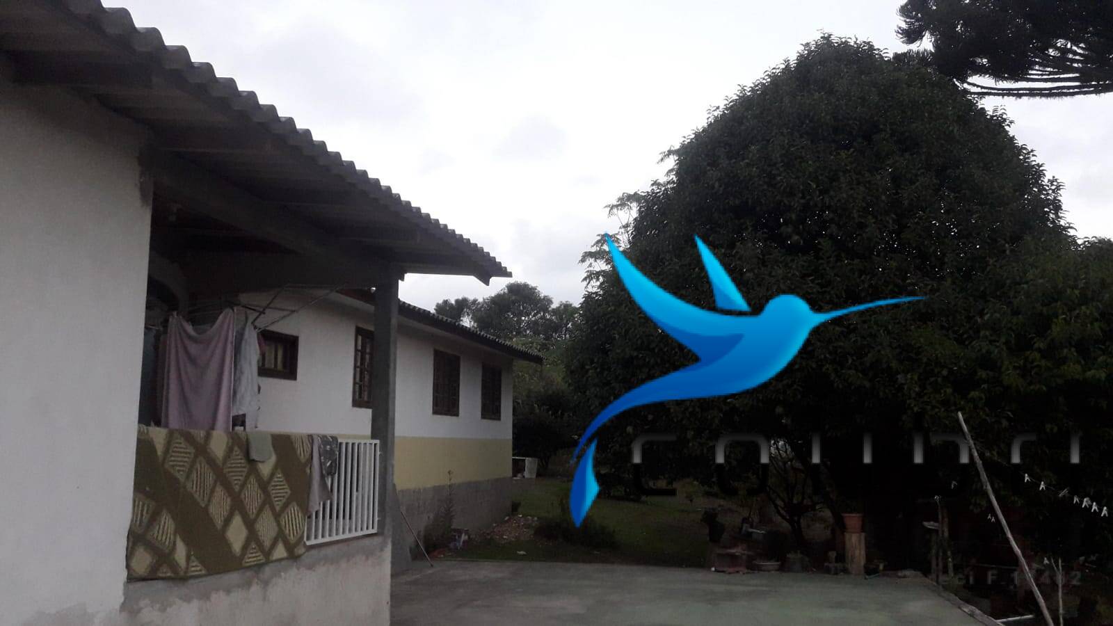 Casa à venda com 3 quartos, 2687m² - Foto 11