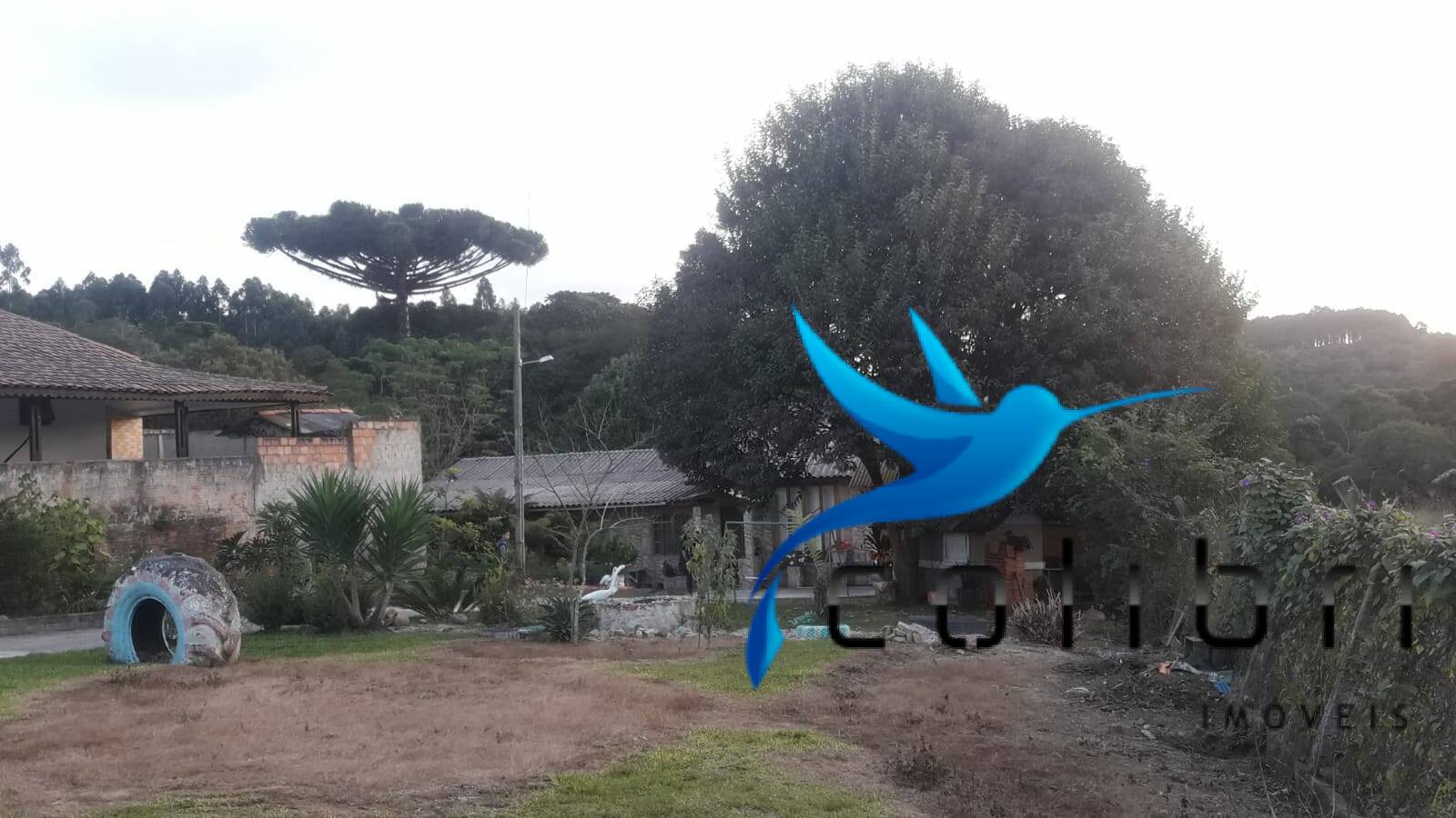 Casa à venda com 3 quartos, 2687m² - Foto 27