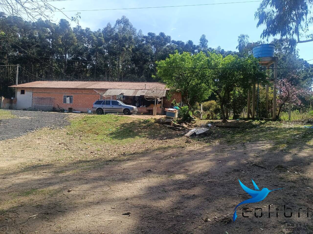 Sítio, 7 quartos, 10000 m² - Foto 4