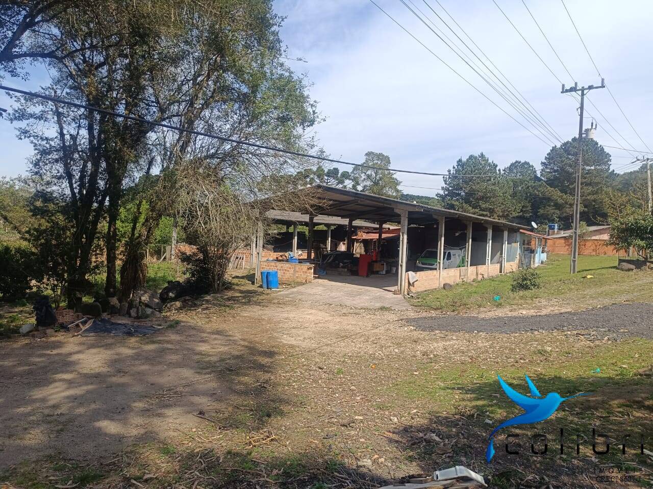 Sítio, 7 quartos, 10000 m² - Foto 3