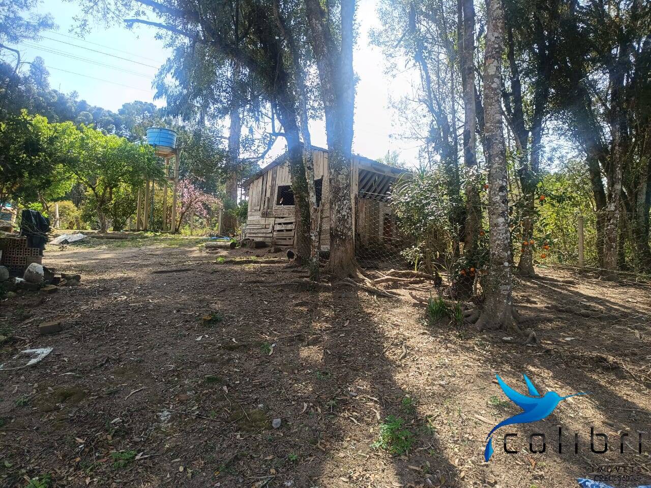 Sítio, 7 quartos, 10000 m² - Foto 5