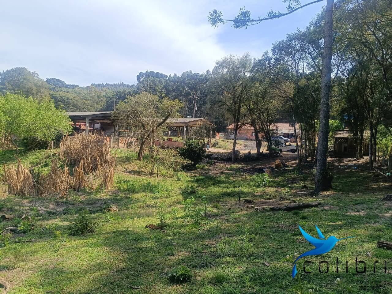 Sítio, 7 quartos, 10000 m² - Foto 7