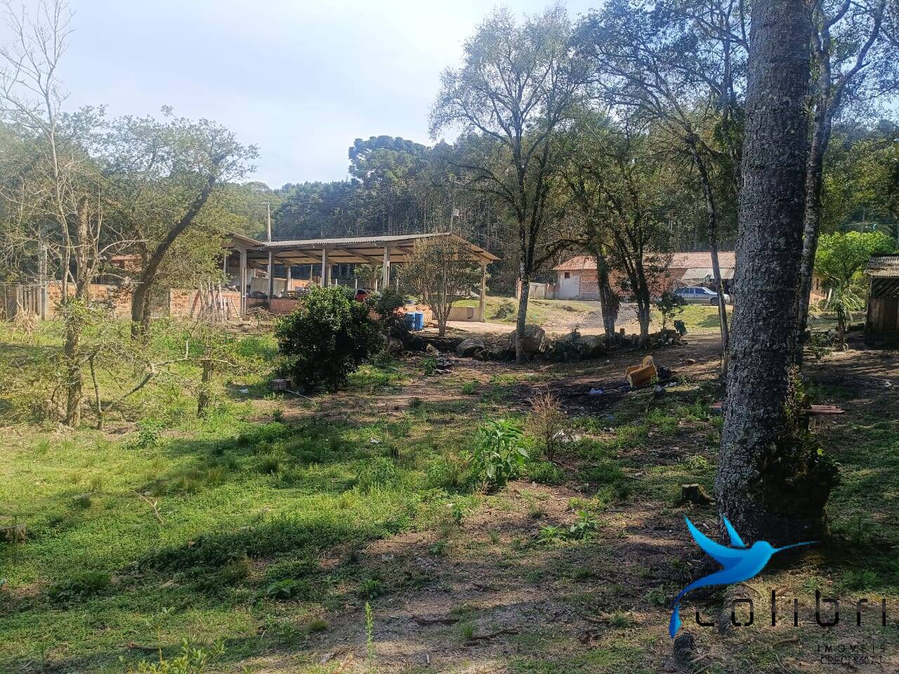 Sítio, 7 quartos, 10000 m² - Foto 9