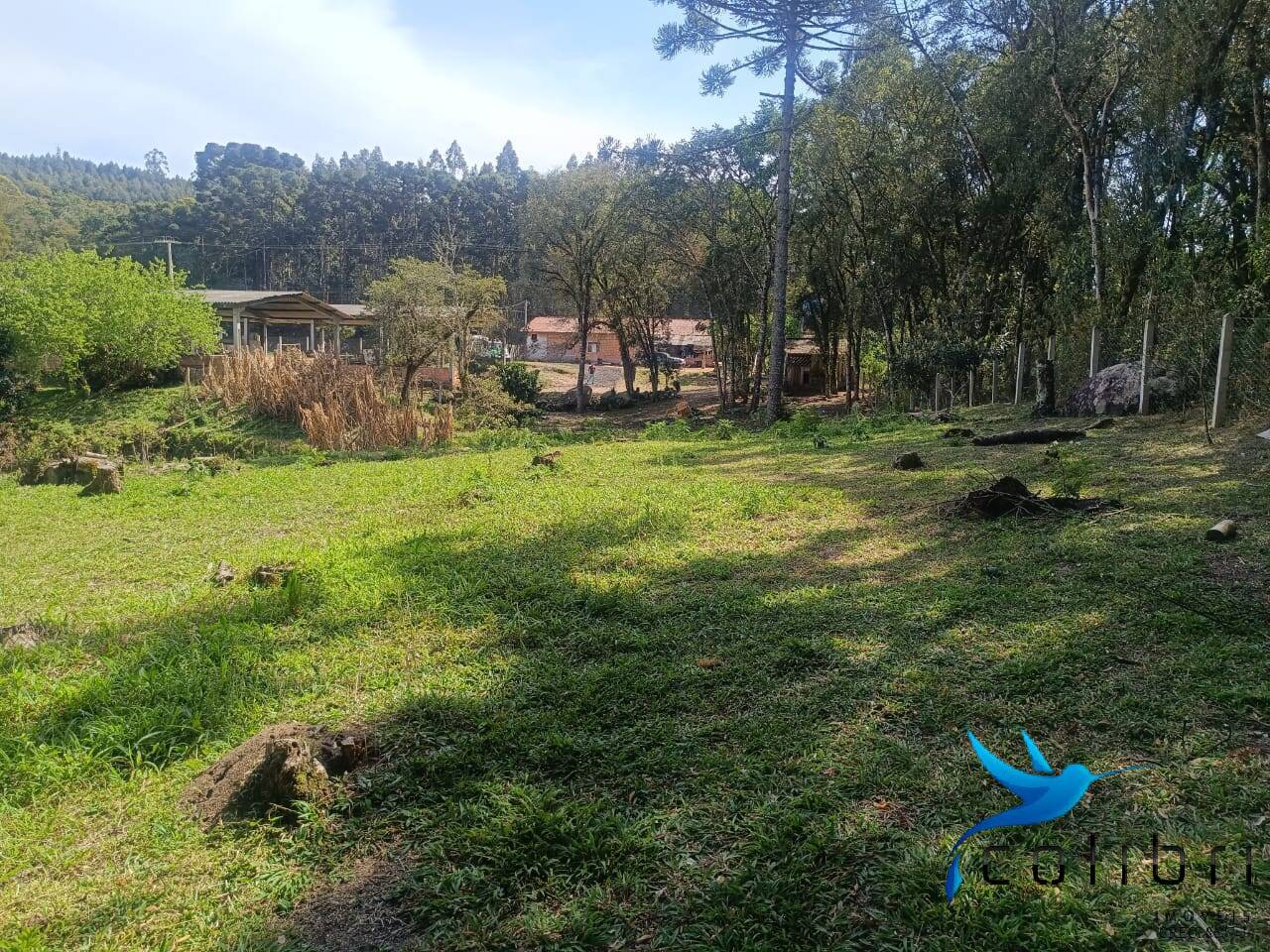 Sítio, 7 quartos, 10000 m² - Foto 8