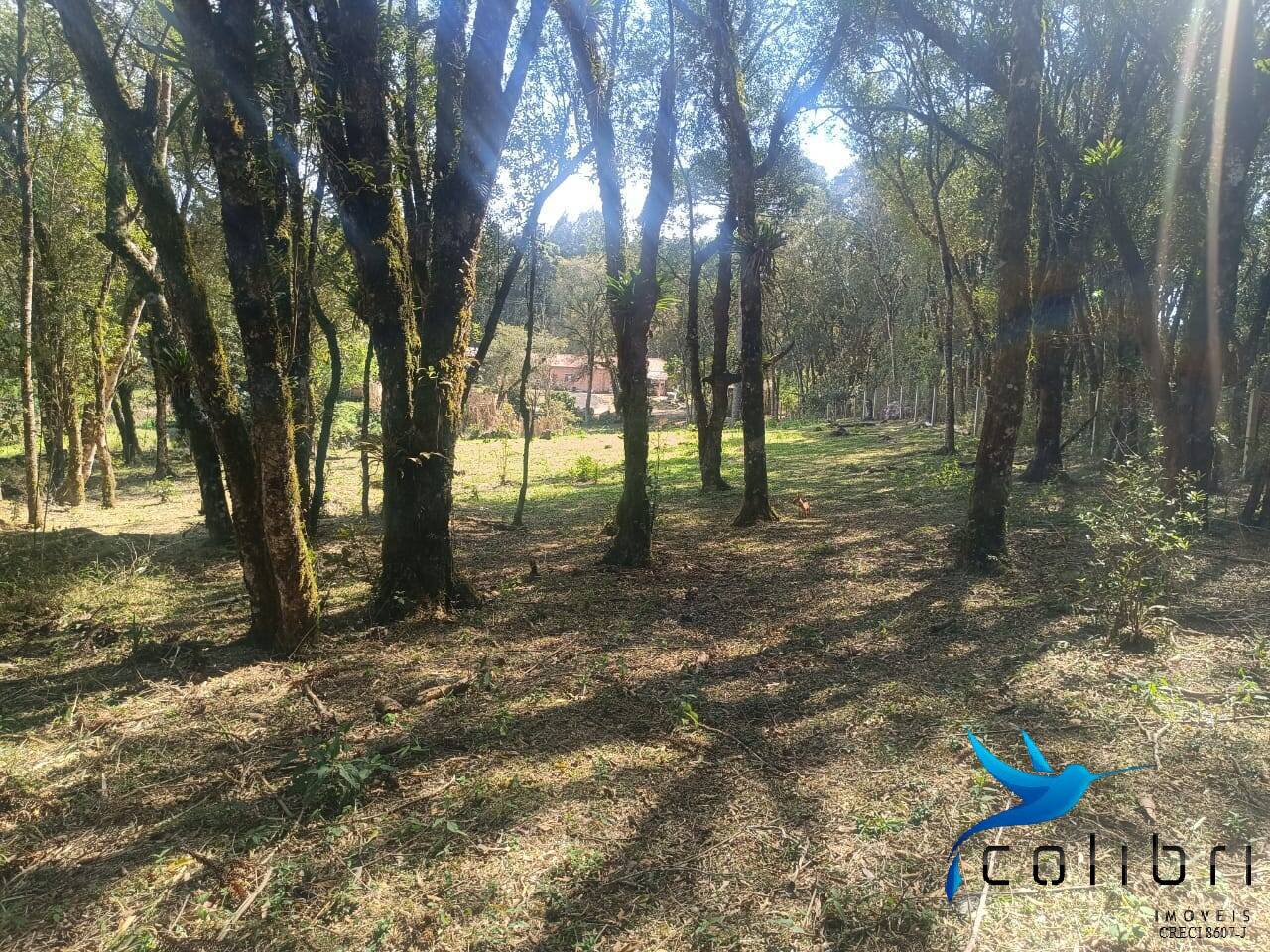 Sítio, 7 quartos, 10000 m² - Foto 13