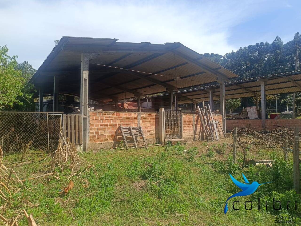 Sítio, 7 quartos, 10000 m² - Foto 19