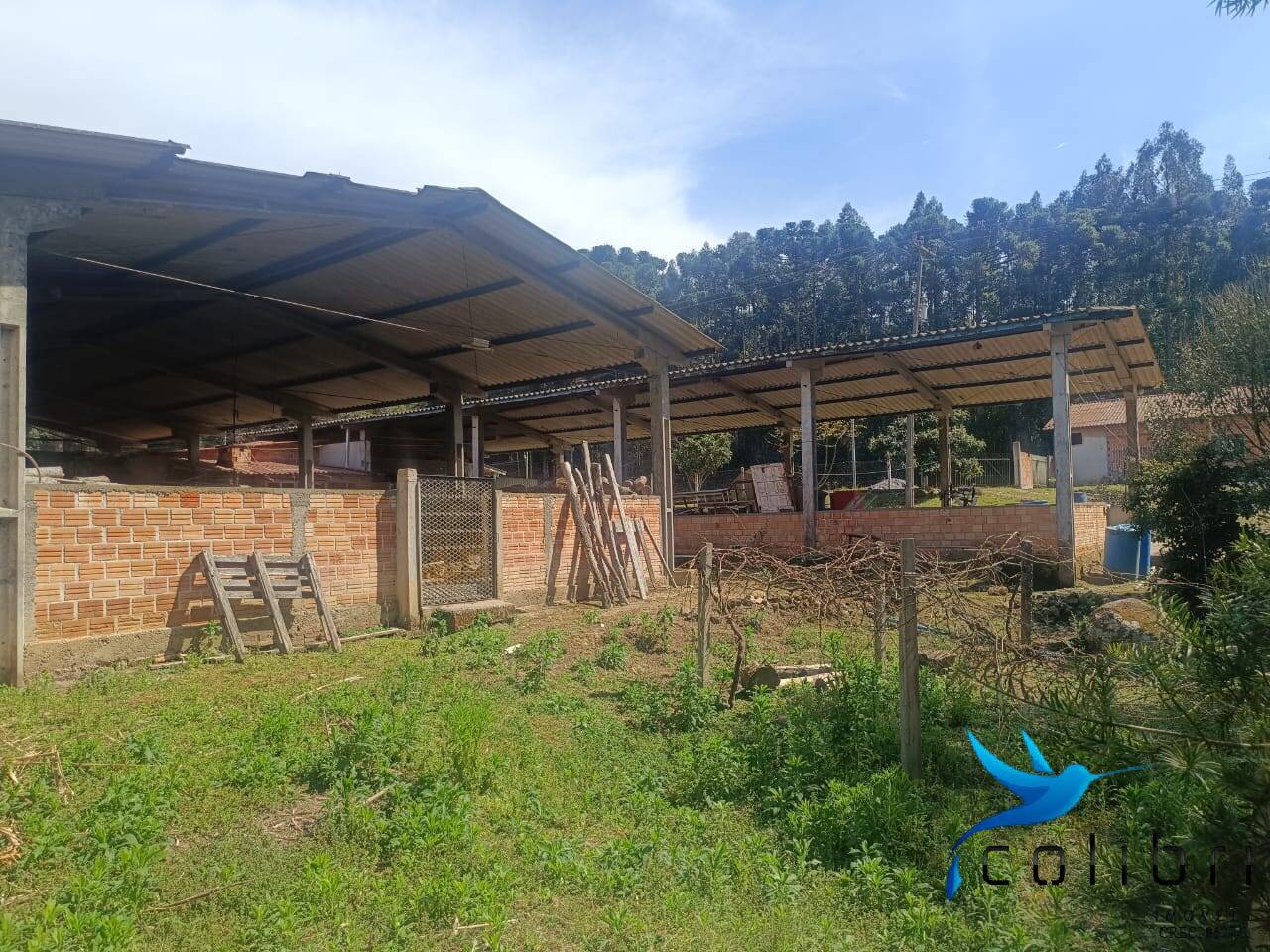 Sítio, 7 quartos, 10000 m² - Foto 15